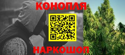 jwh Майкоп