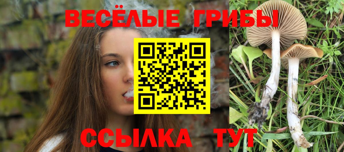 Псилоцибиновые грибы GOLDEN TEACHER Крымск